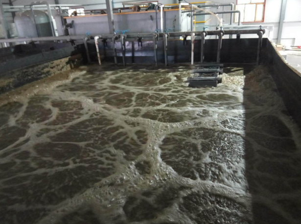 齐齐哈尔屠宰厂废水处理工程案例